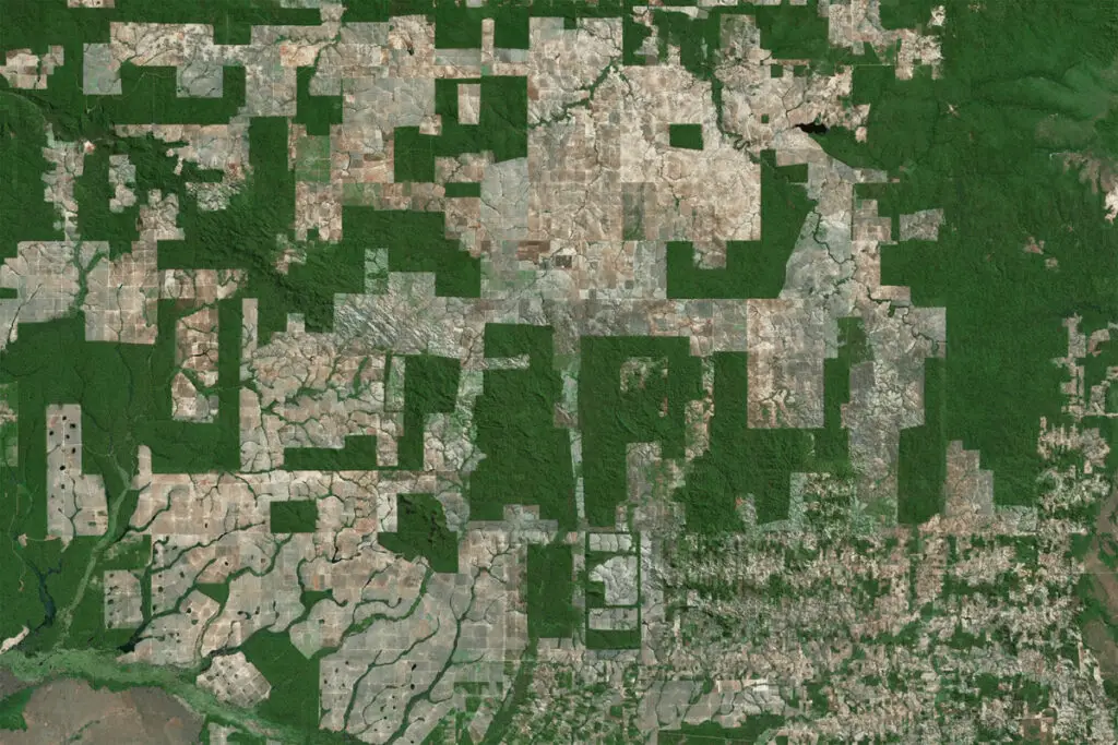 in-the-brazilian-amazon,-decentralization-can-be-a-double-edged-sword-–-mongabay