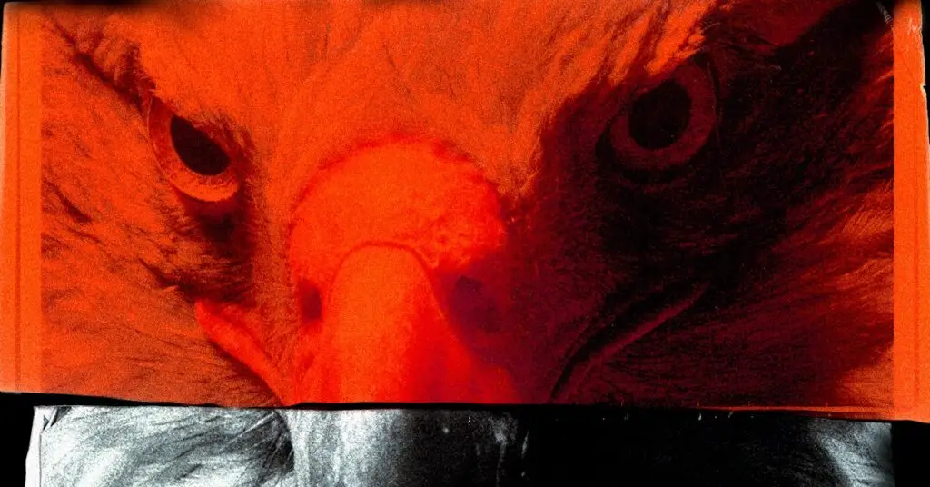 the-wired-guide-to-protecting-yourself-from-government-surveillance-–-wired